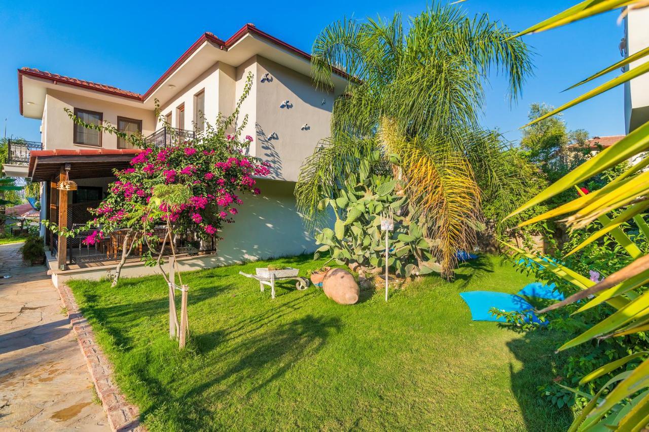 Mavi Deniz Konuk Evi السليمية المظهر الخارجي الصورة