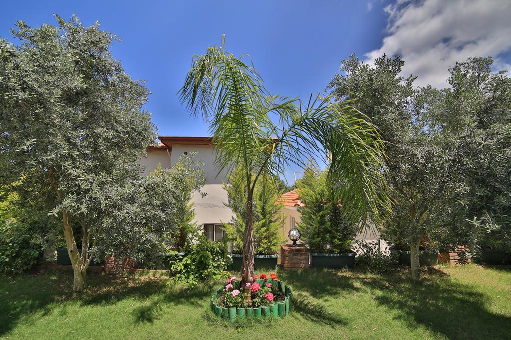 Mavi Deniz Konuk Evi السليمية المظهر الخارجي الصورة