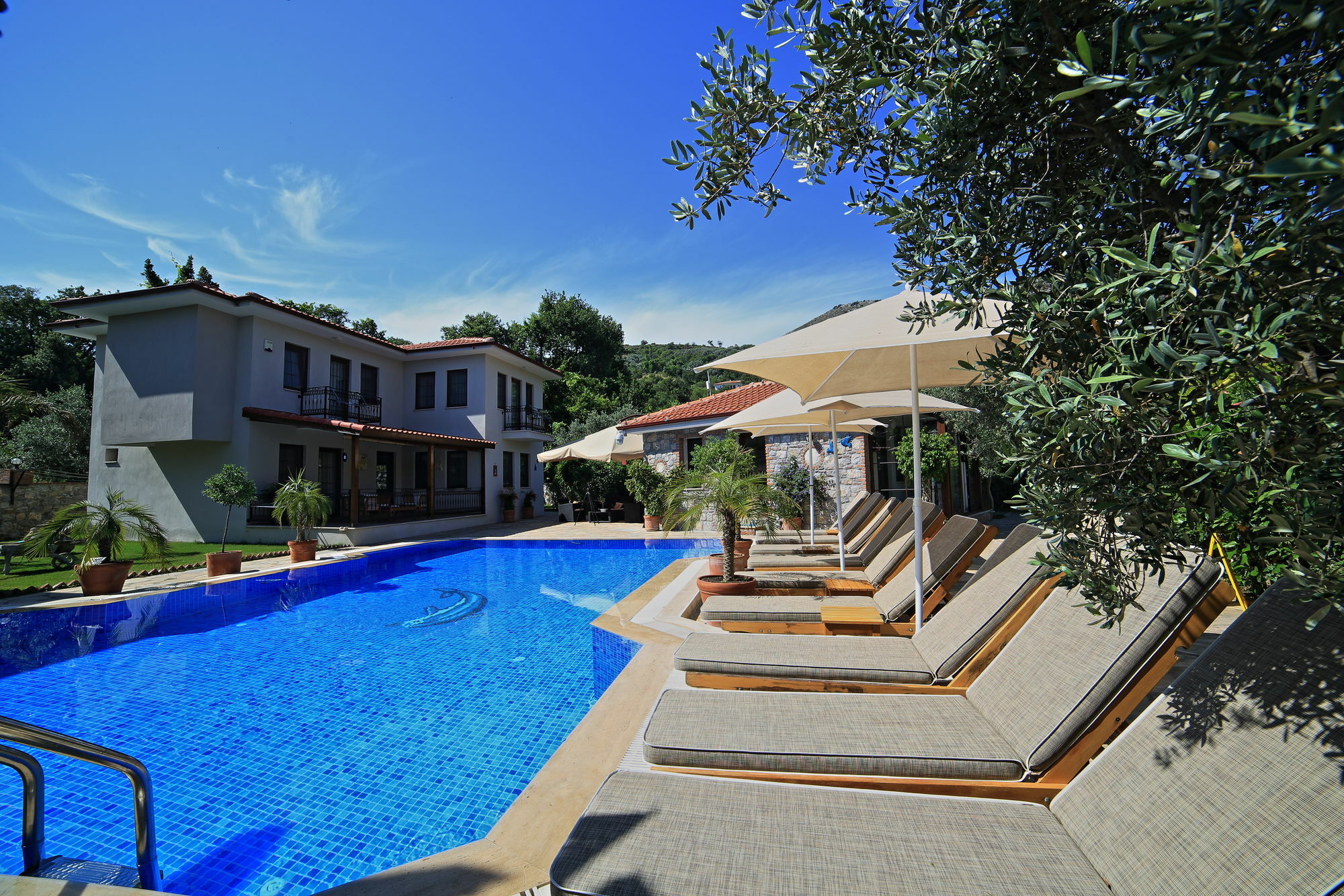 Mavi Deniz Konuk Evi السليمية المظهر الخارجي الصورة